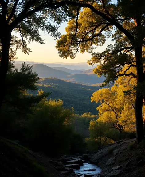 oak creek vista