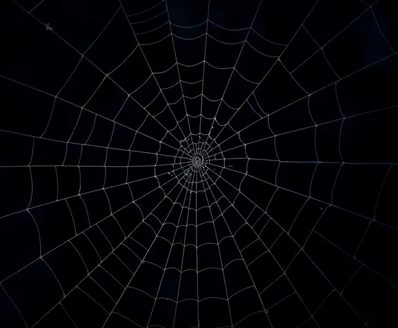 pinstripe spider web