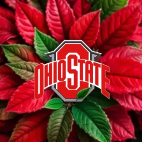 ohio state logo