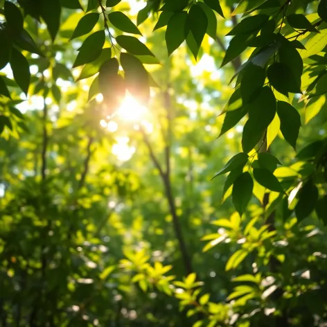 green leafy backgrounds