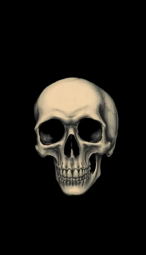 half skull drawing