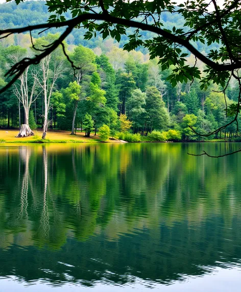 lakes in piedmont georgia