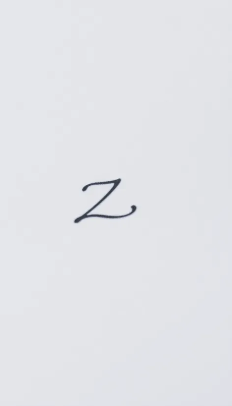 lowercase z in cursive