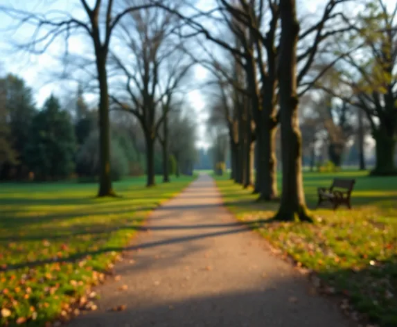 camino en un parque