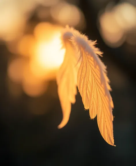 painting of angel wings