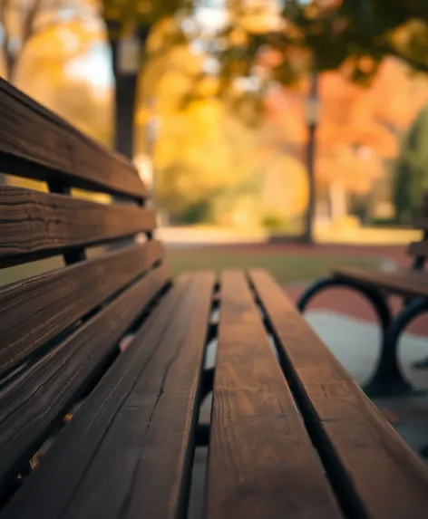 good will hunting bench