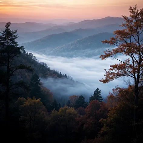 black hill regional park