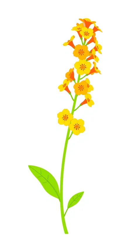 fire weed drawing simple