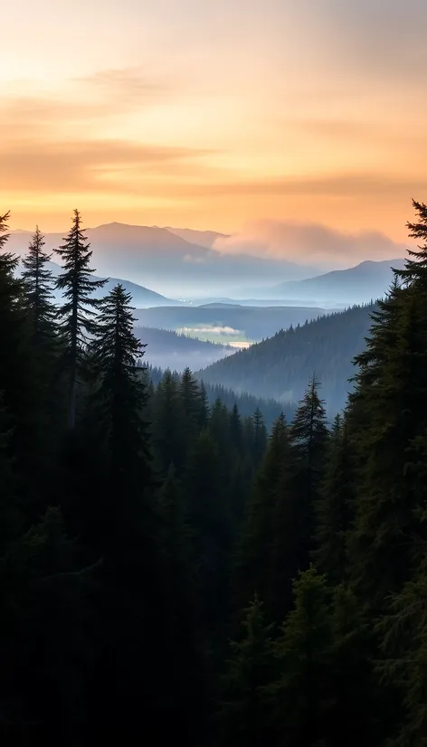 kanaskat palmer state park