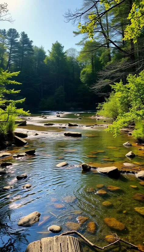 morrison springs county park