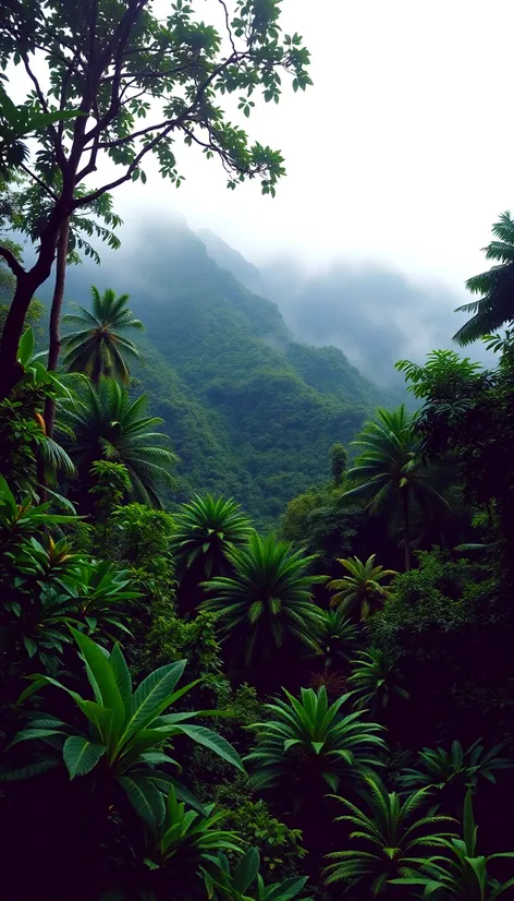 kuilau ridge trail