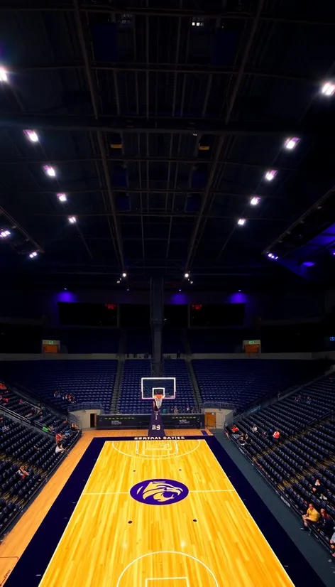 pete maravich assembly center