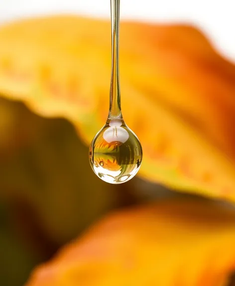 water drop png