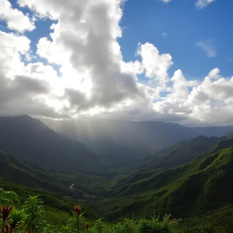 hanalei valley lookout