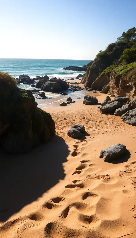 kathy osterman beach