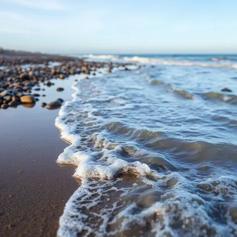 hopewell provincial park tide