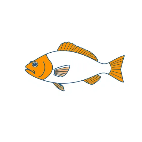 line drawing of fish