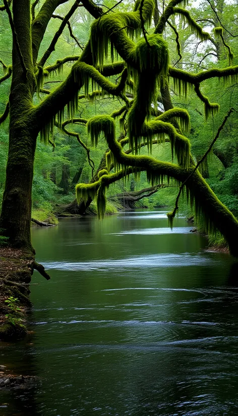 tallahatchie river