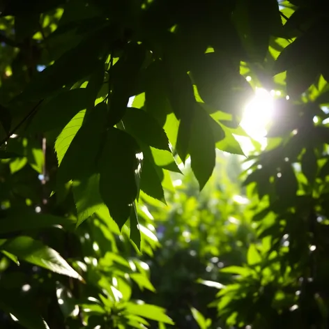 beautiful greenery scenes