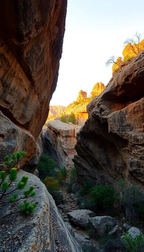 calico rock arkansas