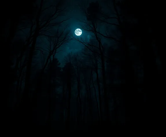 night forest images