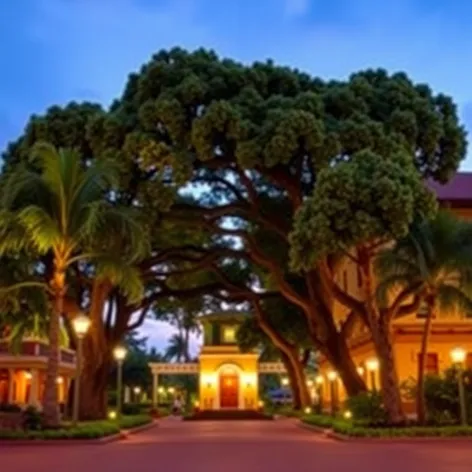 lahaina banyan court park