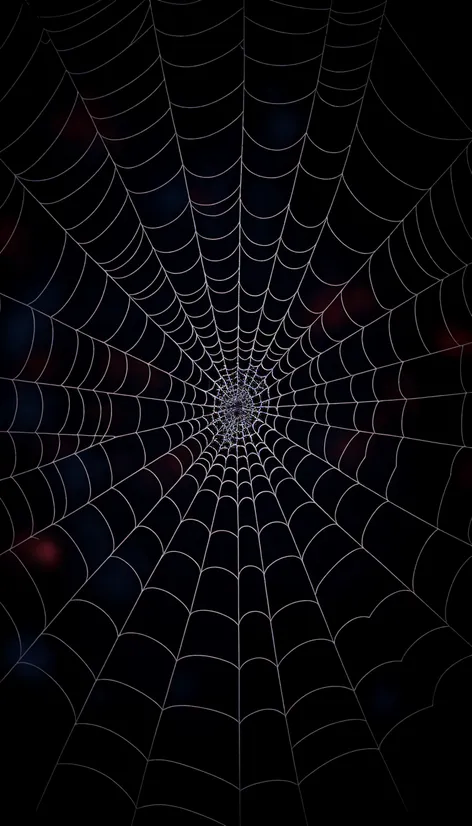 spider web drawing