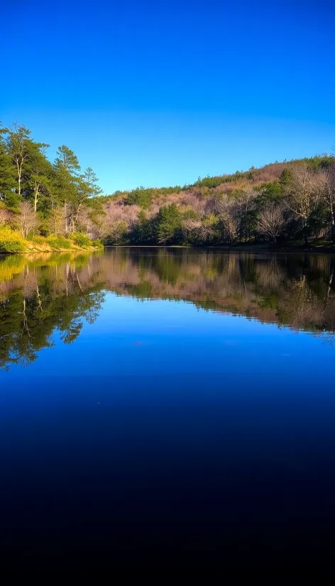 big hill pond state