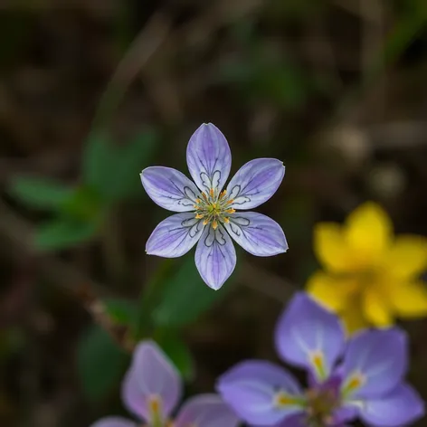 cross and flower tattoo