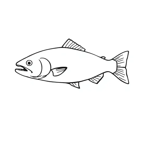 simple sketch of salmon