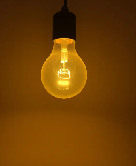 light bulb emoji