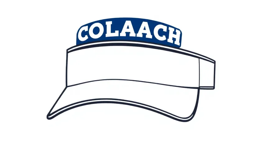 nfl coach visor image