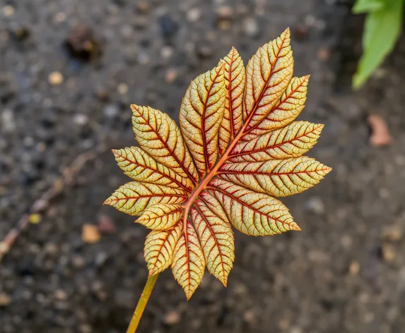 weed leaf art