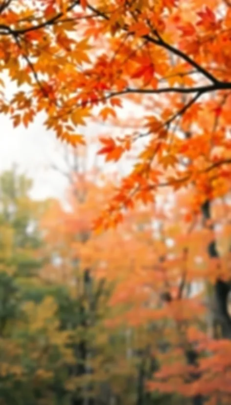 autumn watercolor landscape