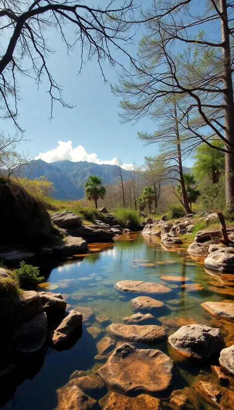 yak tel spring water