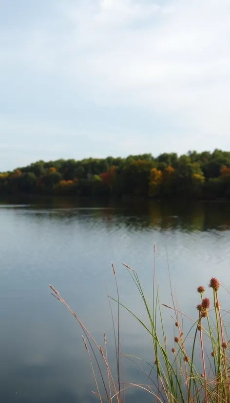 arcadia lake oklahoma