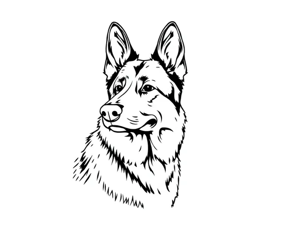 german shepherd line drawing