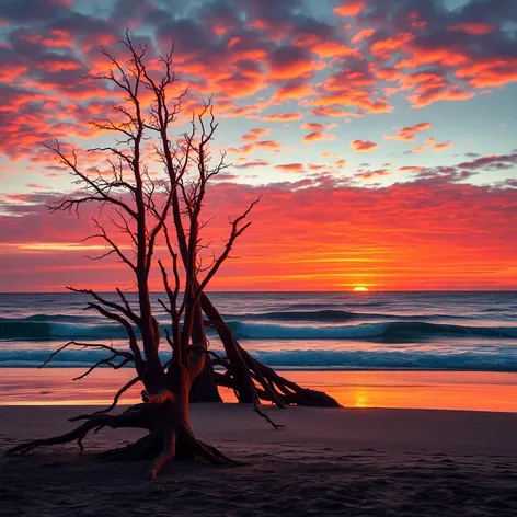 burnt cedar beach