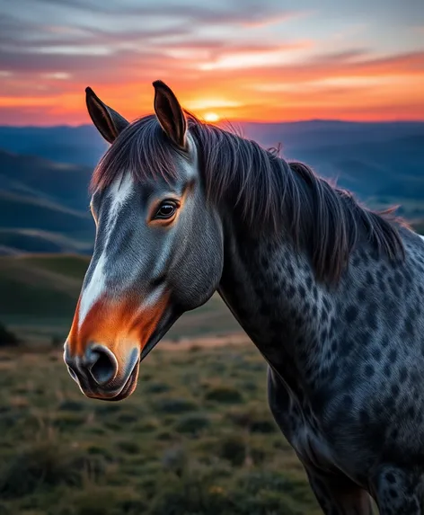 blue roan quarter horse