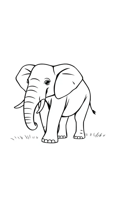 line drawings elephant