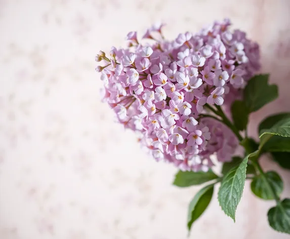 lilac wallpaper