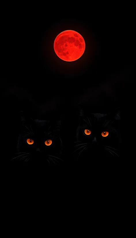 black cats and red