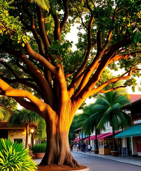 banyan tree lahaina maui