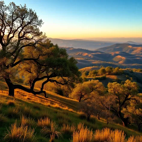 russian ridge open space