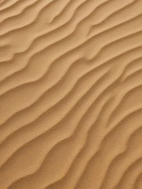 beach sand