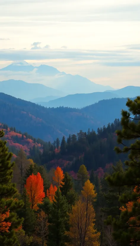 ponderosa state park