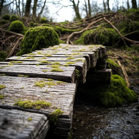 old wooden bridge