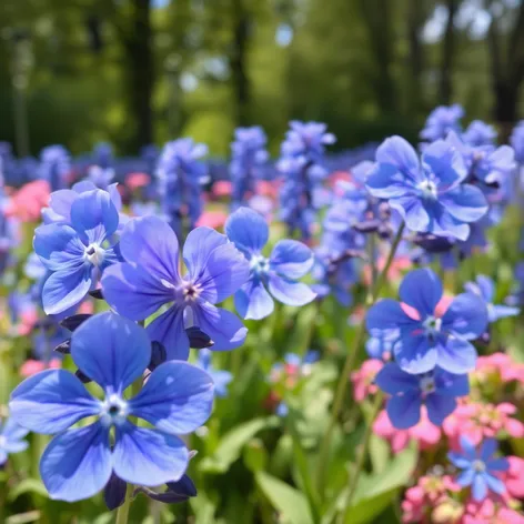 florecillas azules