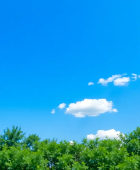 sky with few clouds