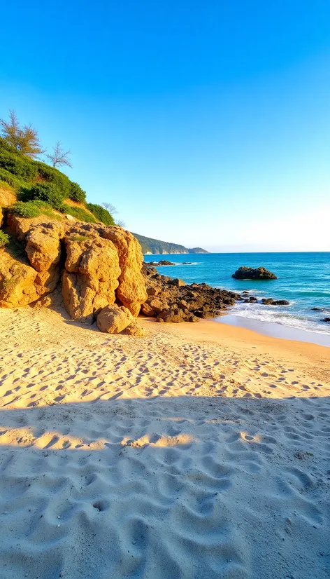 fletcher cove beach park